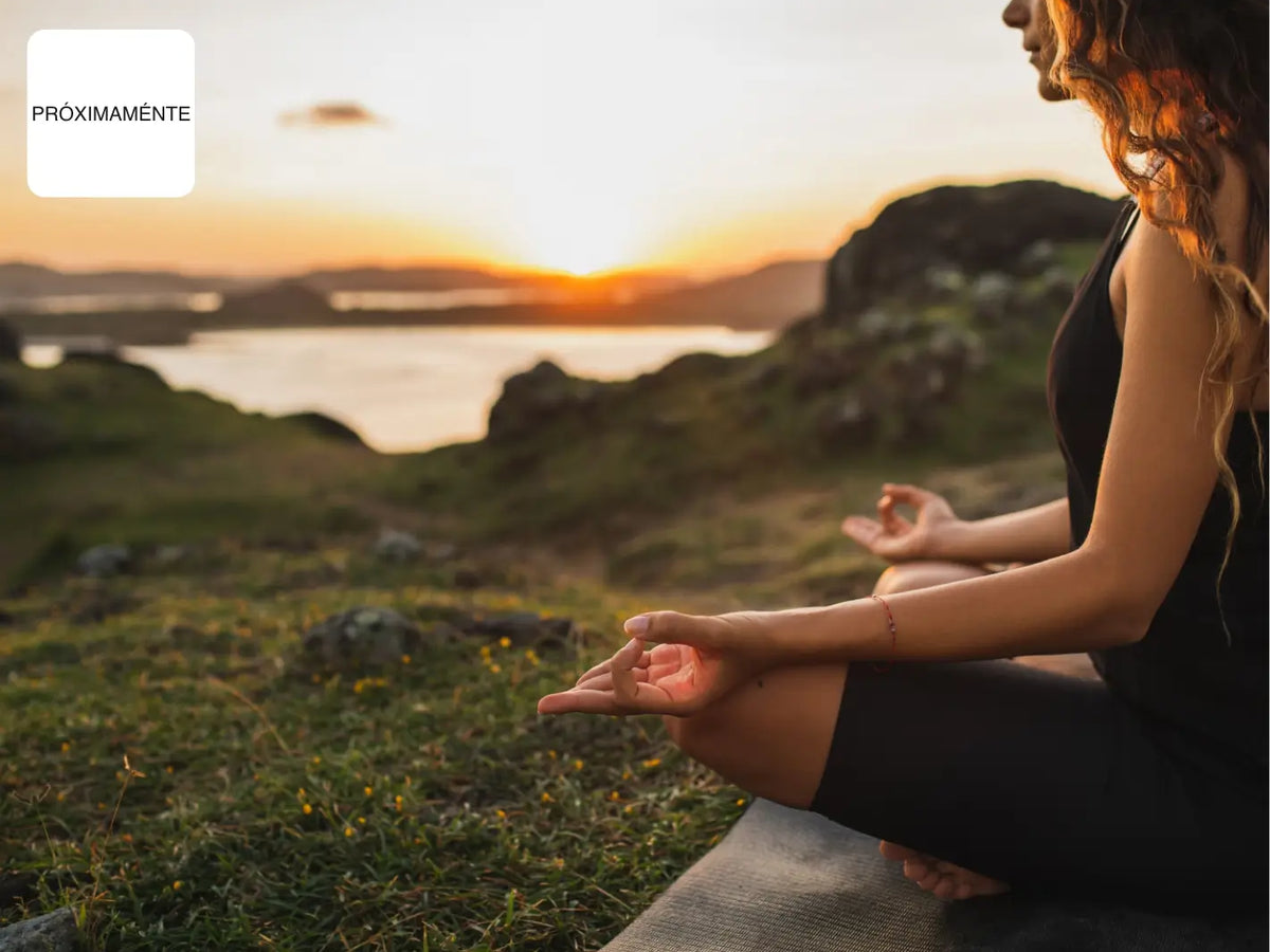 Día de Spa Ayurveda: Relájate y Renueva Tu Energía